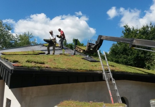 Toiture sur mesure en mousse végétale : isolation sans entretien